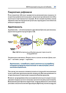 Agile organizāciju dizains